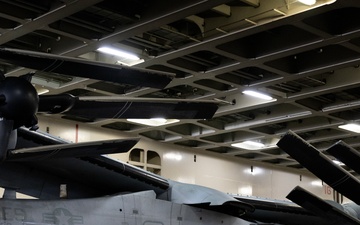 Jax to Africa: Blount Island Keeps Marine Ospreys Moving