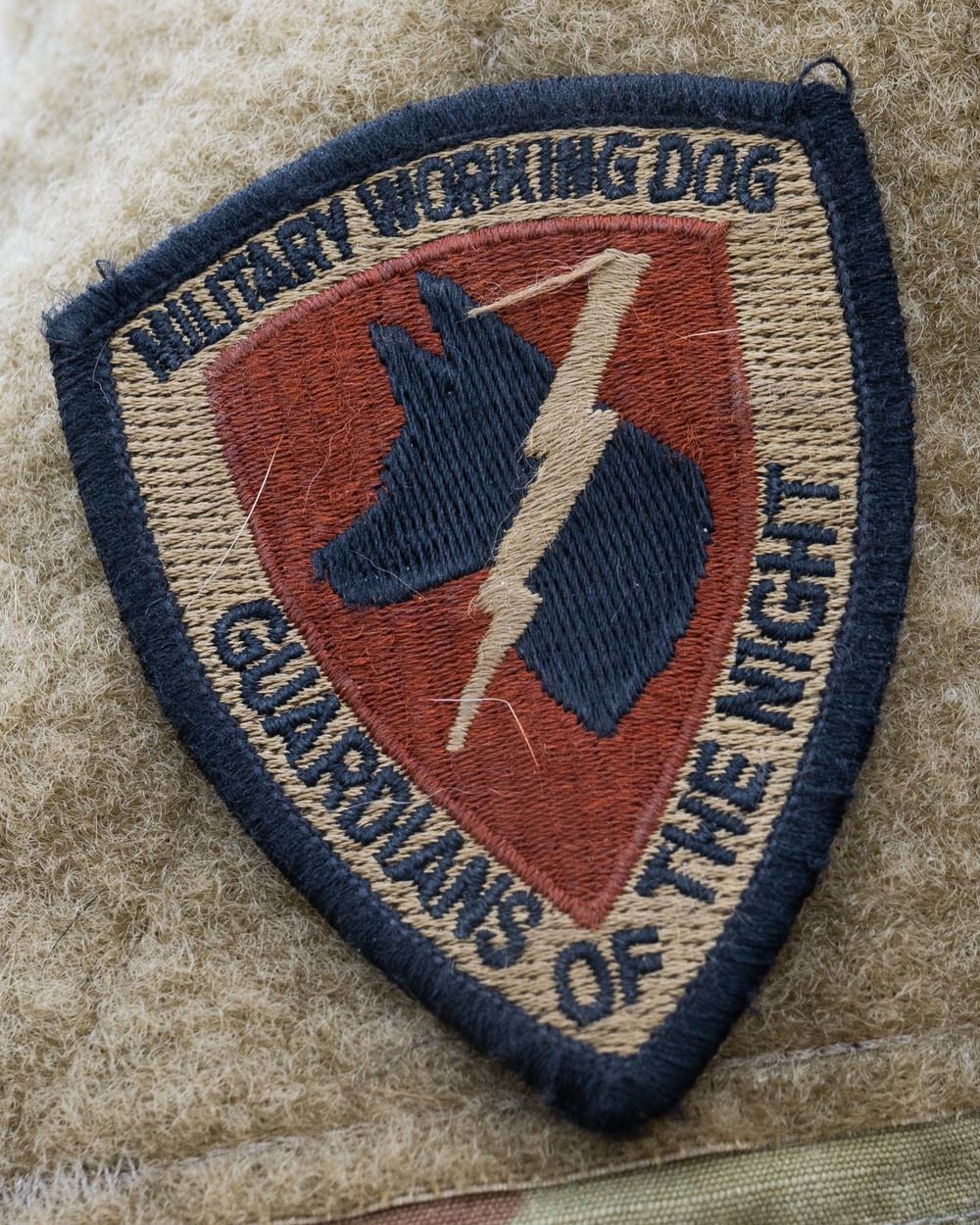Military Working Dogs - Training the nose that knows