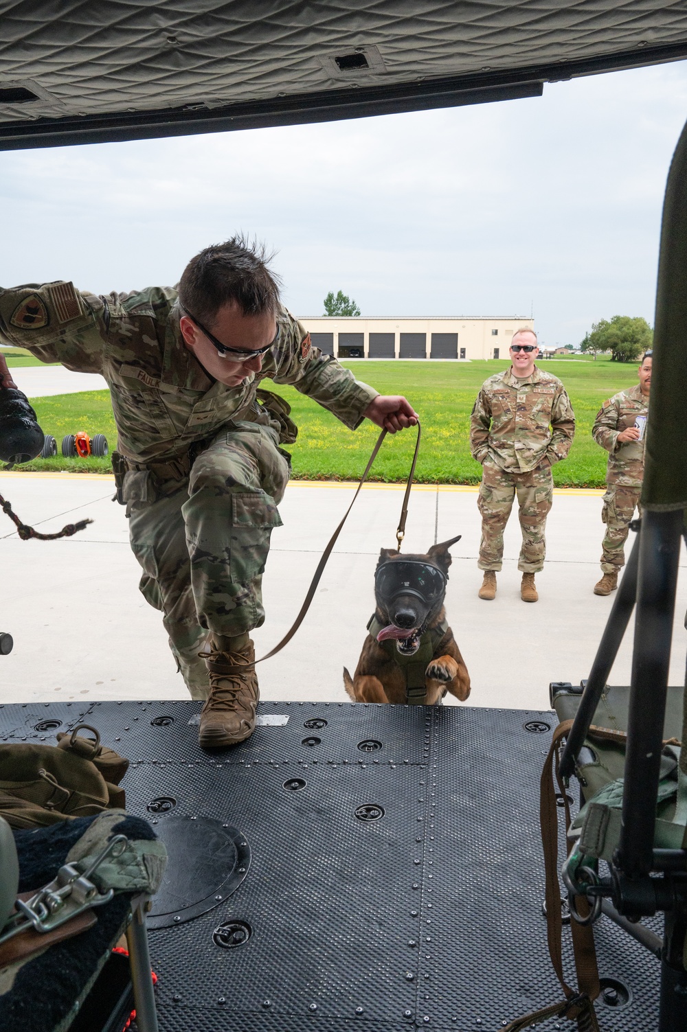 Military Working Dogs - Training the nose that knows