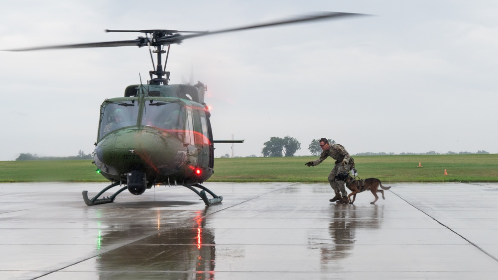 Military Working Dogs - Training the nose that knows