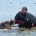 Military Working Dogs - Training the nose that knows
