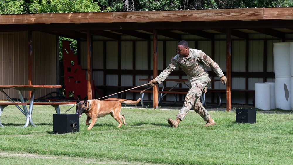 Military Working Dogs - Training the nose that knows