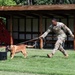 Military Working Dogs - Training the nose that knows