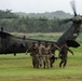 Panamanian and U.S. Forces conduct jungle MEDEVAC training