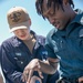 USS Mitscher (DDG 57) Sailors conduct security force training