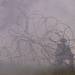 Climb to Readiness: 2-14 Conducts Live Fire Exercise at JRTC