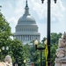 D.C. Safe and Beautiful Task Force