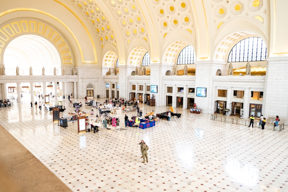 D.C. Safe and Beautiful Task Force