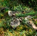 National Guard Sniper School Training