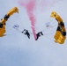 U.S. Army Parachute Team jumps for Chicago Air and Water Show