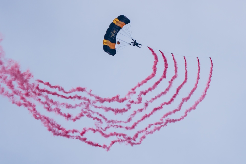 U.S. Army Parachute Team jumps for Chicago Air and Water Show