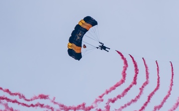 U.S. Army Parachute Team jumps for Chicago Air and Water Show