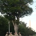 JTF-DC leaders circulate during DC Safe and Beautiful mission