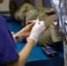 Area I &amp; II BOSS holds August Blood Drive in Camp Casey
