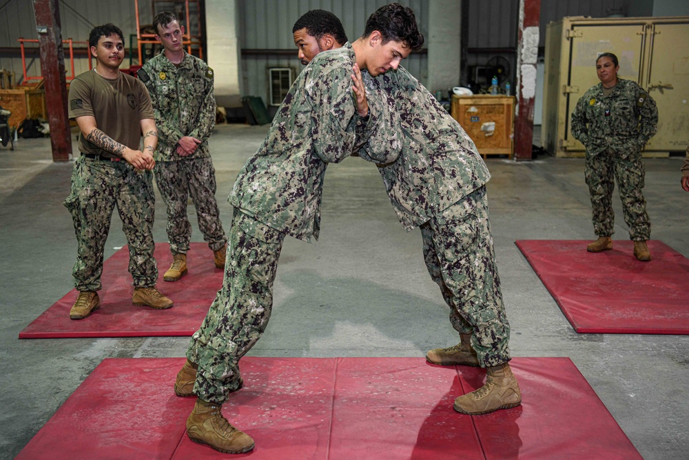 NSF Bahrain Holds Controlled Force Training
