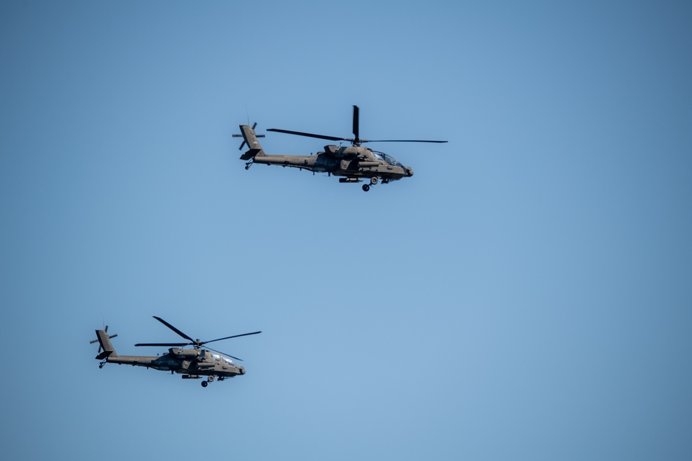 Polish Armed Forces Day