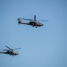 Polish Armed Forces Day