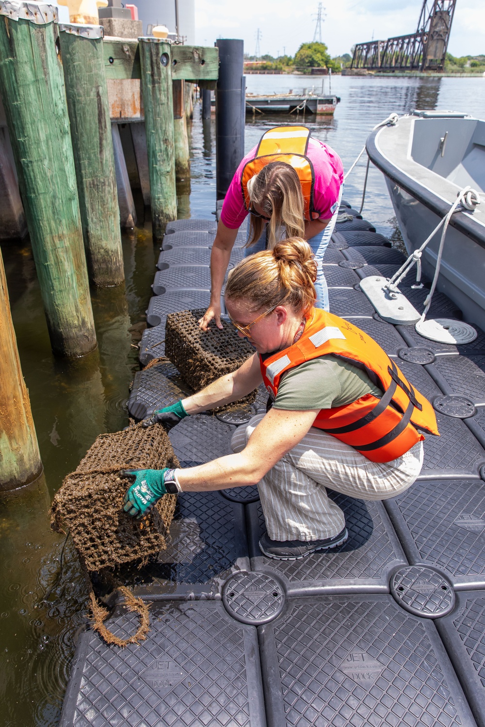 NNSY and NSA-Portsmouth Members Unite in Support of Oyster Gardening Program