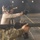 NSWG-11 SMALL-ARMS RANGE