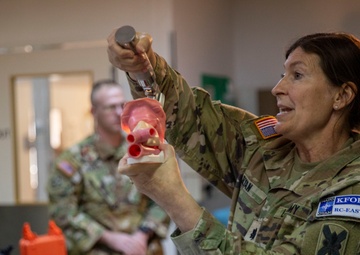 Delaware National Guard Surgeon Leads Multinational Medical Operations in Kosovo