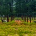 122 ASB Soldier of the Year Competition