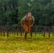 122 ASB Soldier of the Year Competition