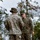 NS25: 1st ANGLICO establishes Fire Support Control Measures