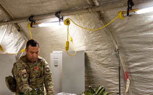 SV 25 CASEVAC Training