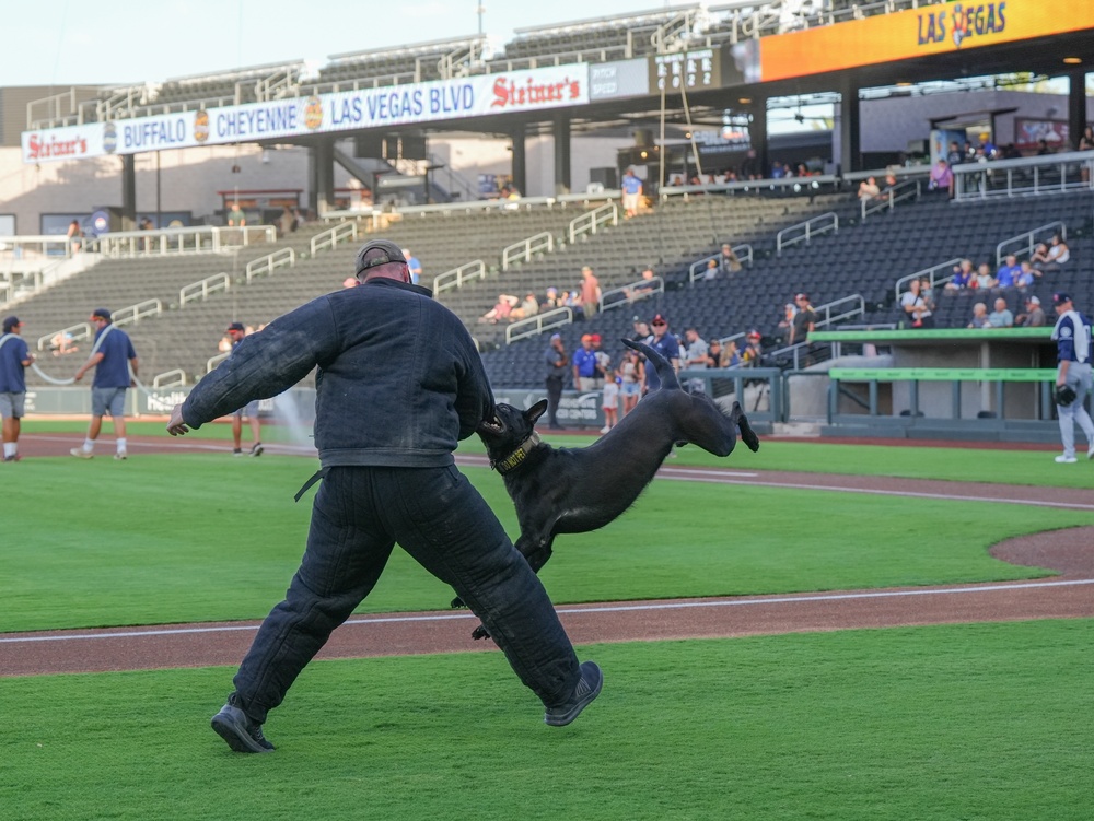 Airmen Honored at Las Vegas Aviators Military Appreciation Night