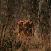 MRF-D 25.3: U.S. Marines with CLB-1 conduct a convoy live-fire range
