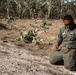 MRF-D 25.3: U.S. Marines with CLB-1 conduct explosive demolition training