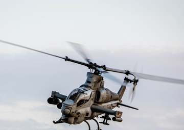 NS25: 1st ANGLICO Coordinates Close Air Support