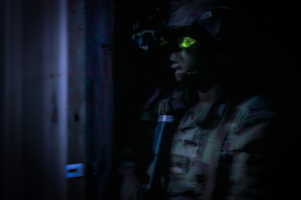 114th Conducts a Low-Visibility Raid
