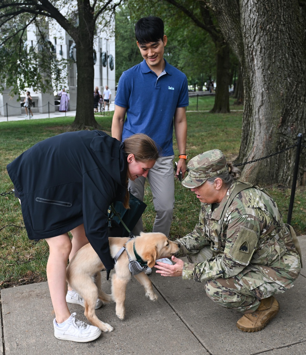 D.C. Safe and Beautiful Task Force