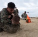 CLB 4 Conducts Battalion MCMAP PT