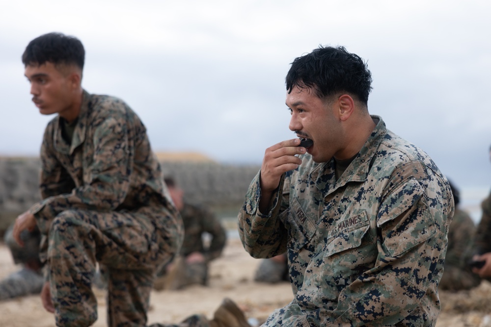 CLB 4 Conducts Battalion MCMAP PT