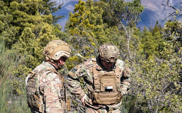 SV25 Two-Rope Bridge Training