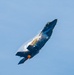 F-35A Demonstration Team Performs at Abbotsford