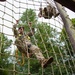 134th SFS trains tactical skills in Catoosa