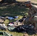 U.S. Army Europe and Africa Best Squad Competition 2025