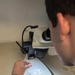 Tick Talk: Prevention and Protection