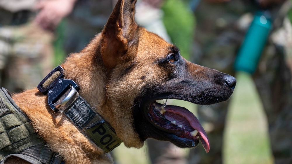 Maryland Army National Guardsmen engage with police K-9s during flight familiarization