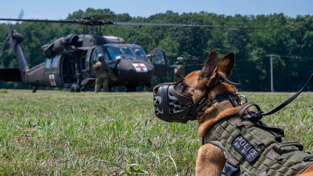 Maryland Army National Guardsmen engage with police K-9s during flight familiarization