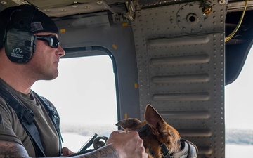 Maryland Army National Guardsmen engage with police K-9s during flight familiarization