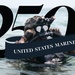 U.S. Marine Corps 250th Birthday Wallpaper Backgrounds