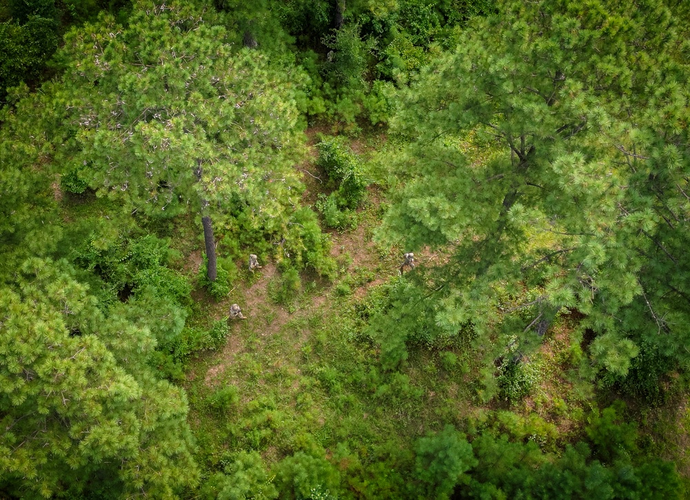 678th ADA BDE conducts Counter-Unmanned Aircraft System training