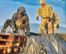 Mud, Muscle, and Multinational Might: German-Led 'Saulauf' Challenges NATO Troops and Builds Camaraderie