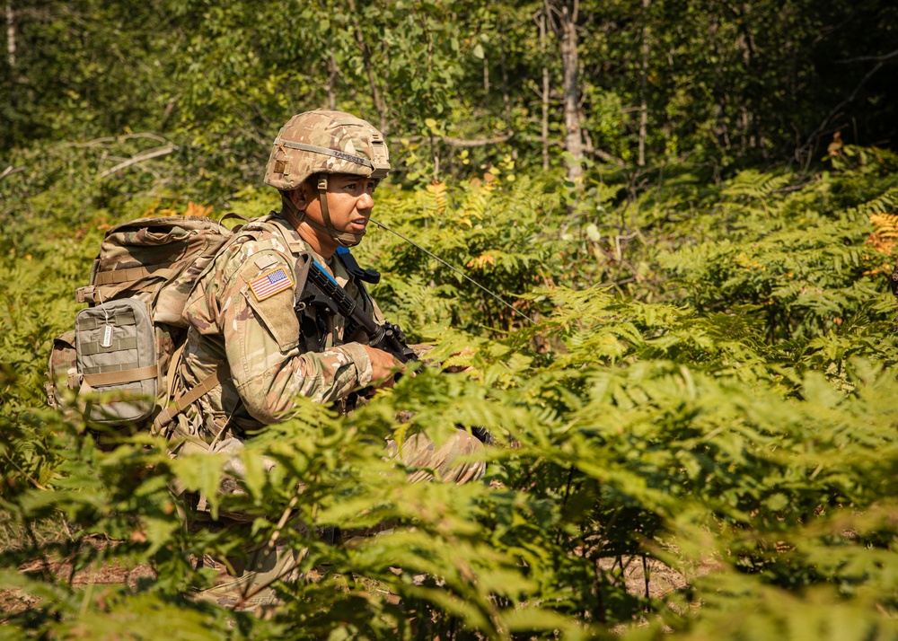 OHARNG 1-174th Air Defense Artillery Regiment participates in Exercise Northern Strike 25-2