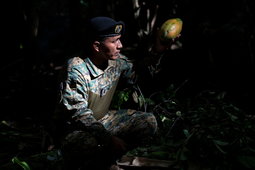 Panamanian and USMC members learn about flora and fauna during jungle survival course