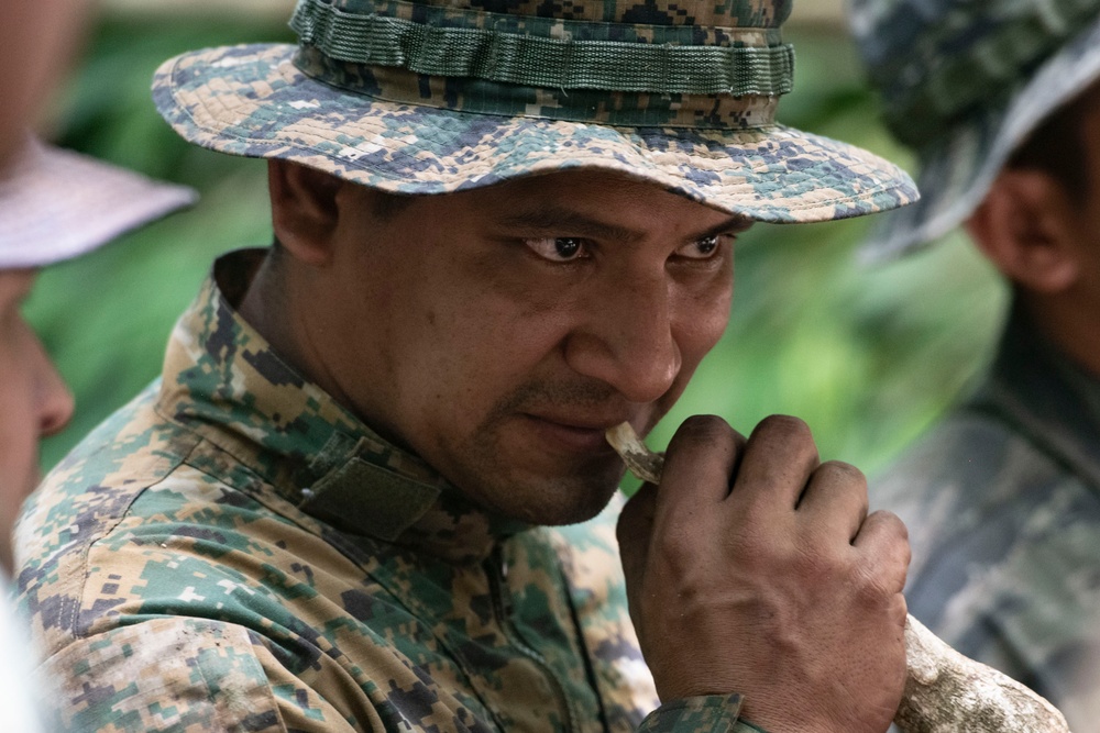Panamanian and USMC members learn about flora and fauna during jungle survival course